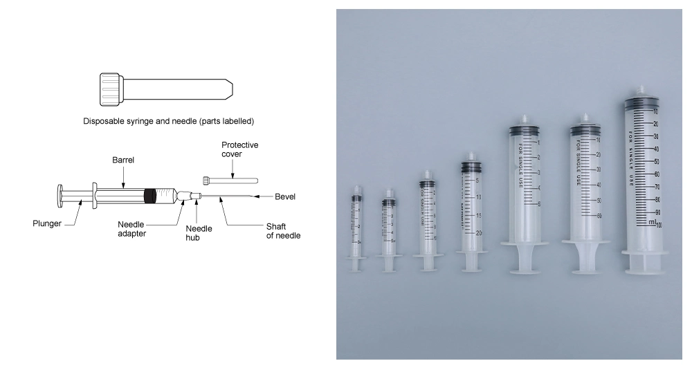 Disposable Syringe Large Syringe Veterinary Instruments