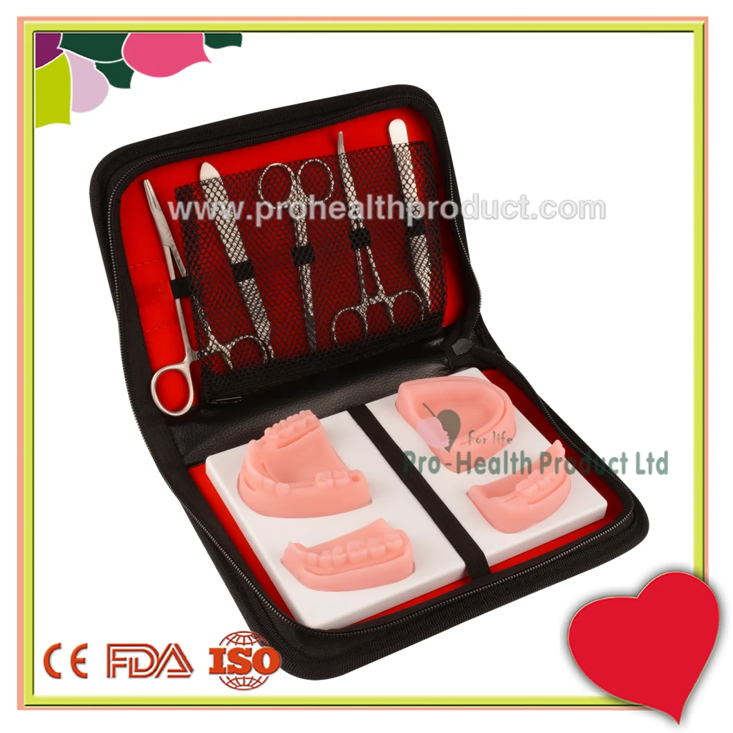 Dental Suture Pad Dental Suture Modek Kit Gum Suture Practice Kit with Pouch 5 tools Dental Surgical Training