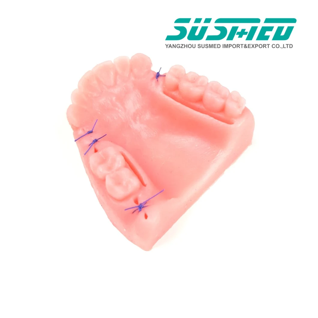 Dental Teeth Model Surgical Suture Practice Pad Suture Pad
