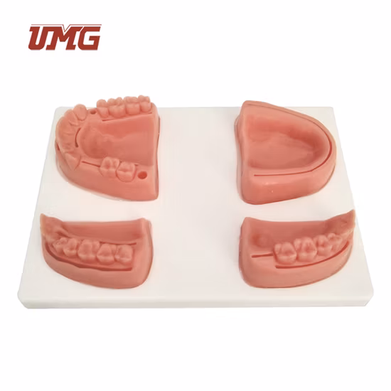 Entrenamiento médico Dentista Sutura Pad Práctica Sutura dental e implantes