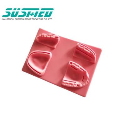 Almohadilla de práctica de sutura quirúrgica modelo de dientes dentales almohadilla de sutura